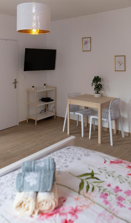 Loc Trotteur Le Pivoine Studio Grand Confort, Gare Sncf De Лурд Екстериор снимка