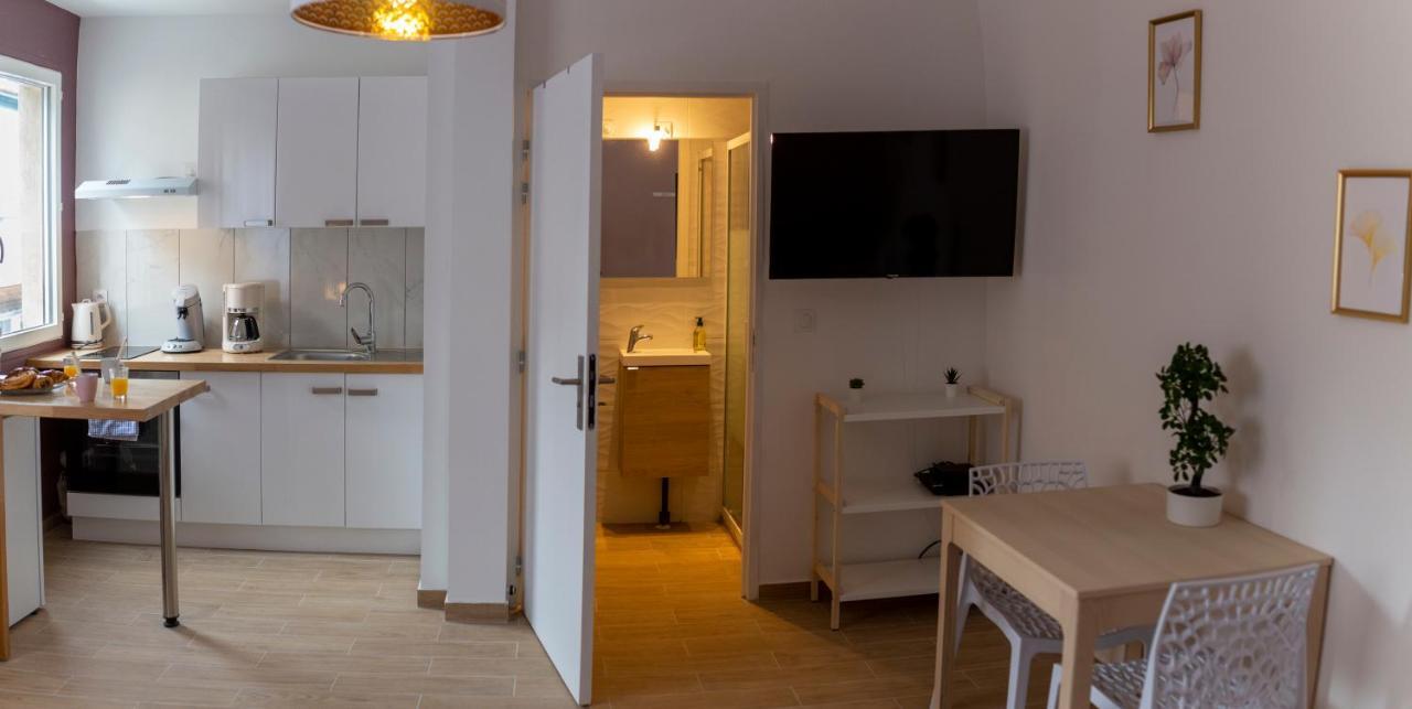Loc Trotteur Le Pivoine Studio Grand Confort, Gare Sncf De Лурд Екстериор снимка